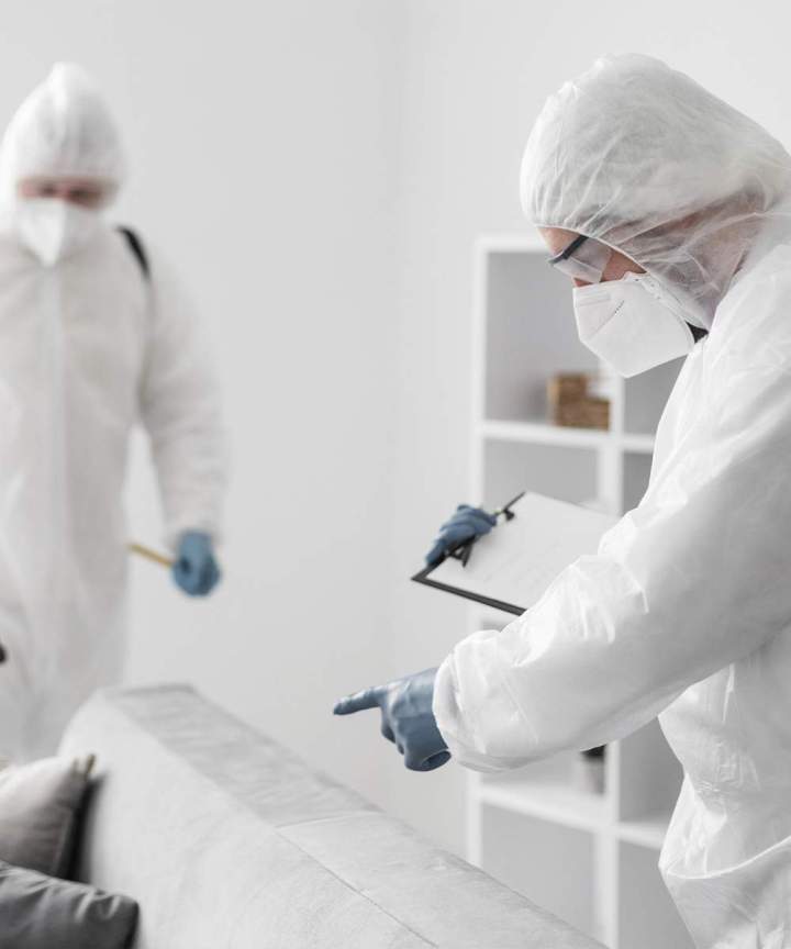 Désinsectisation Les Alluets-le-Roi