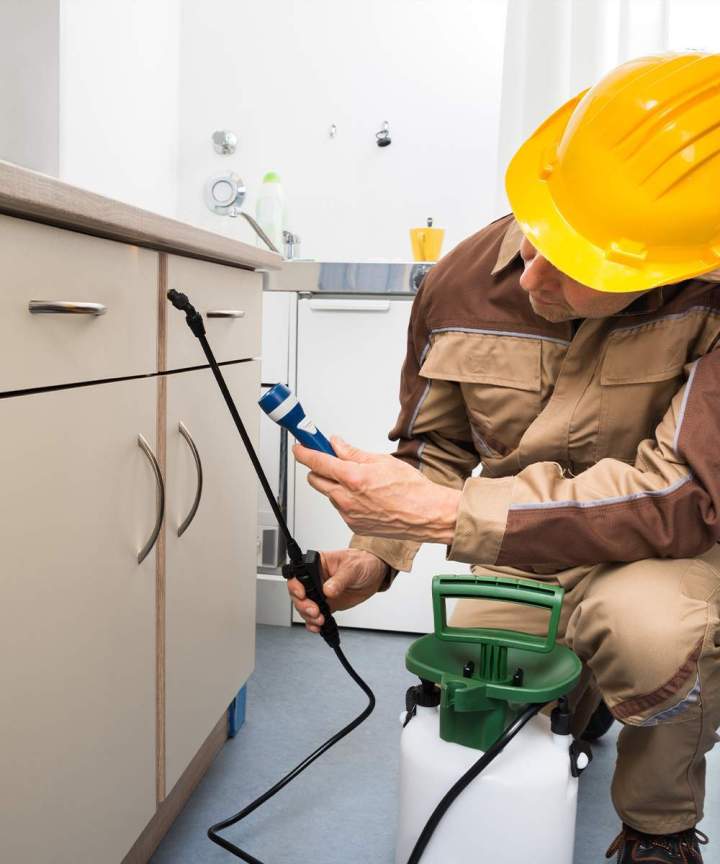 Service de désinfection Les Alluets-le-Roi