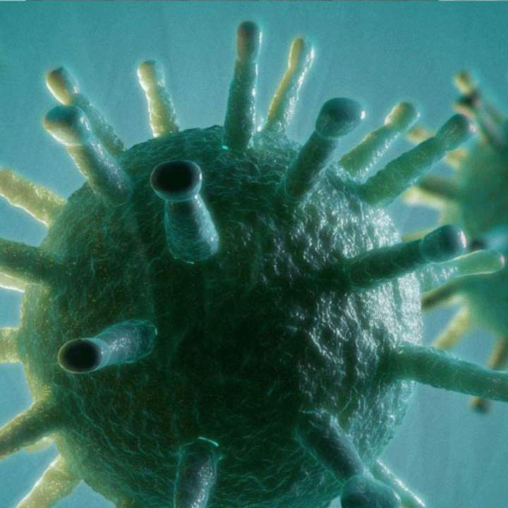 Traitements de Désinfection : Particluliers, Professionnels, Collectivités