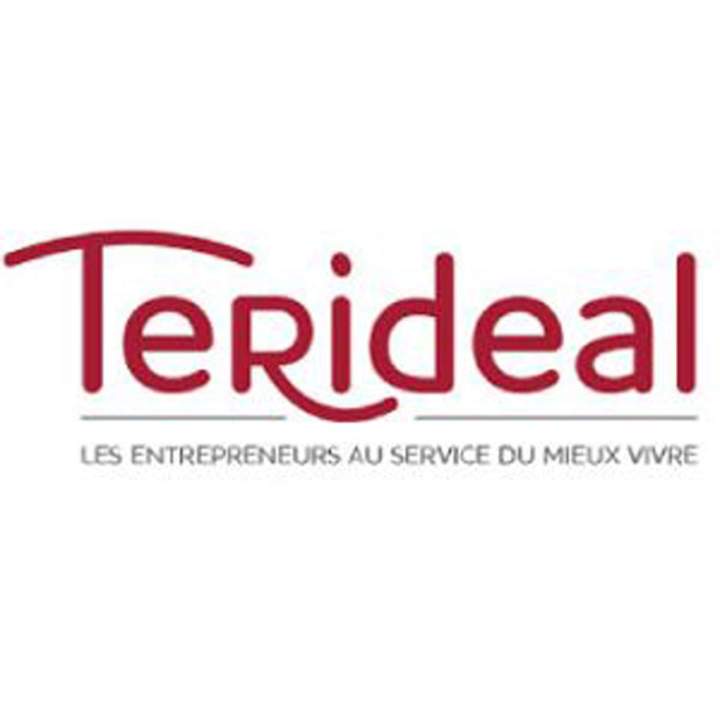 Logo Terideal