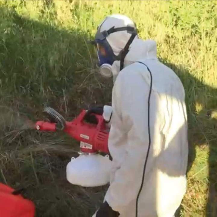 moustiques 3.23564f2a 185Lf