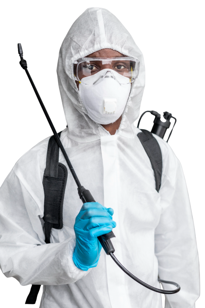 Expert en désinsectisation Les Alluets-le-Roi