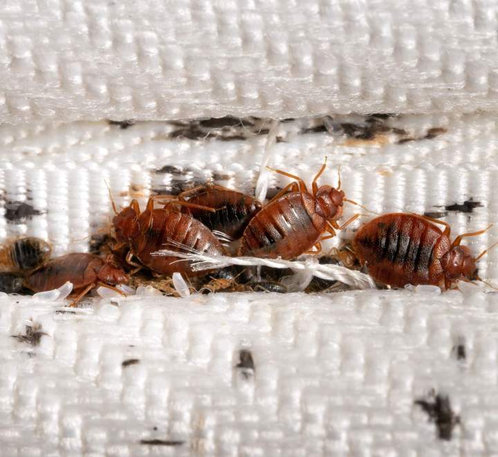 shutterstock 2236348135