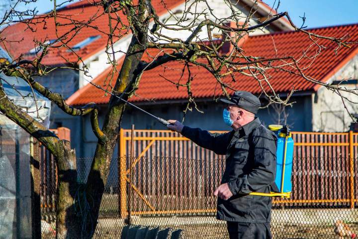 Désinfection insectes nuisibles Les Alluets-le-Roi