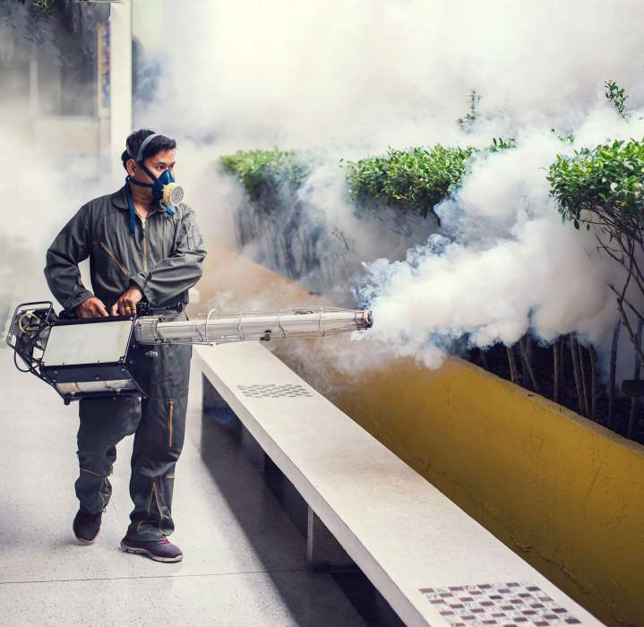 shutterstock 762704467